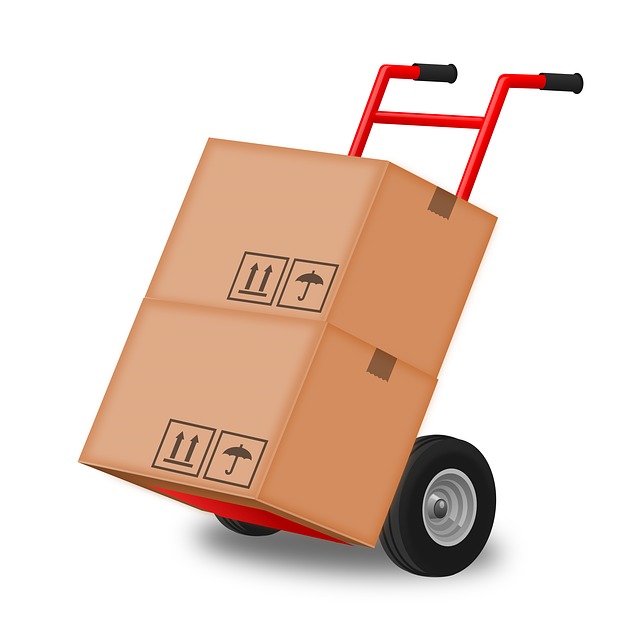 hand truck for moving